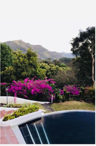 a view of a pool with pink flowers and trees at Exclusive Altos del Maria 2 Bedroom Apartment-Private Pool & Mountain Views in Sorá