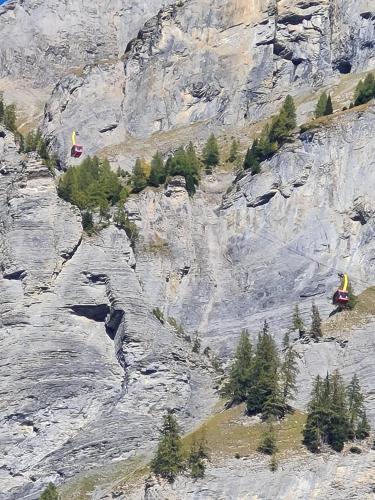 an aerial view of a mountain with trees on it at Lucky Fox in Leukerbad