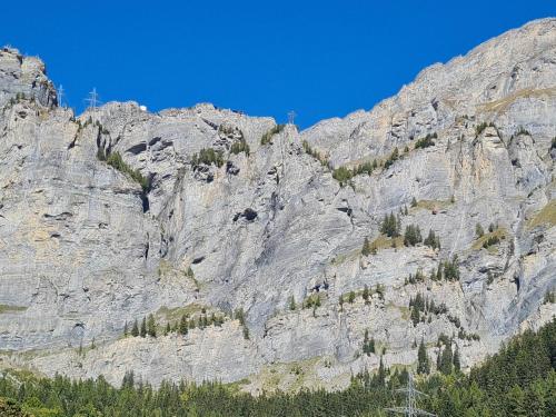 a rocky mountain with trees in front of it at Lucky Fox in Leukerbad