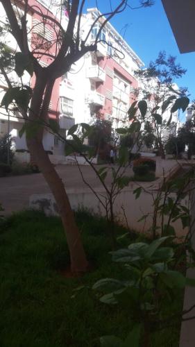 a tree in the grass in front of a building at Marina dore in Sidi Yahia az Zaʼer