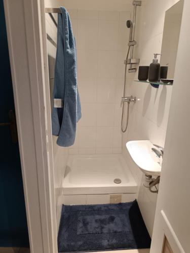 La salle de bains est pourvue d'un lavabo et d'une douche avec une serviette bleue. dans l'établissement La chaumière, à Rambouillet