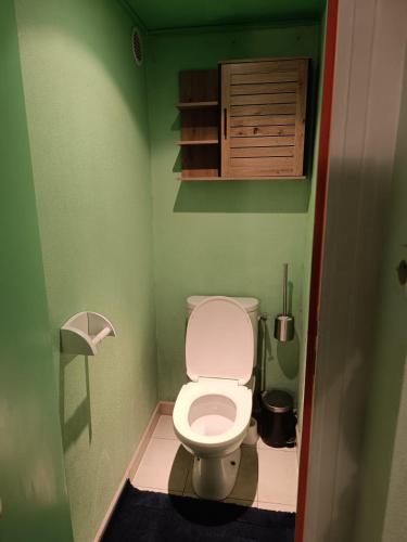 - une salle de bains avec toilettes dans une pièce verte dans l'établissement La chaumière, à Rambouillet