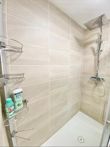 La salle de bains est pourvue d'une cabine de douche et de toilettes. dans l'établissement Le Lumos - Chaleureux & Calme, à Riom