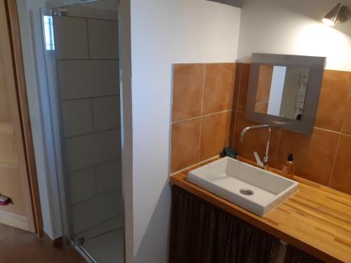 a bathroom with a sink and a mirror at RDJ Proche mer "L'Oustaou Cabriole" in Saint-Cyr-sur-Mer