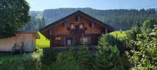 a small wooden house in a field with trees at Ferienhaus Reith-Häusl in Maria Alm am Steinernen Meer