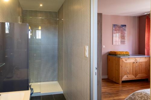 une douche avec une porte vitrée dans une salle de bain dans l'établissement Le Prunier, à Vals-près-le-Puy