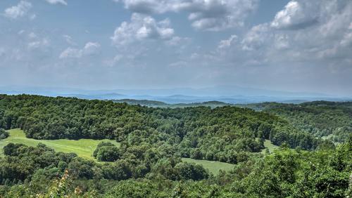 an aerial view of a forest of trees at An Owl's Perch in Morganton