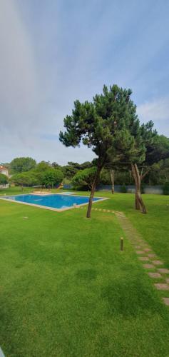a green field with a tree and a swimming pool at Casa Valérie in Esposende