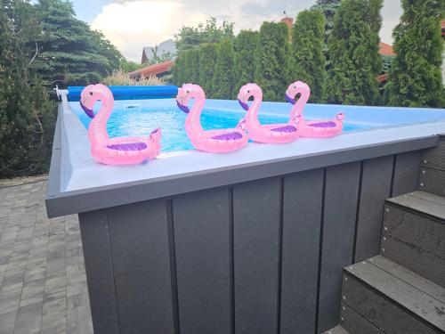 Mazurska Tajemnica 3 - Domek C