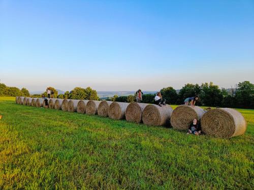 a row of hay bales in a field at Chalupa Velká Javorská in Žandov