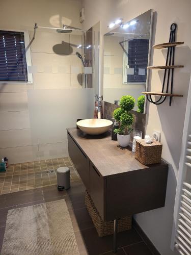 une salle de bain avec un lavabo et une douche dans l'établissement La Fontaine de Baron, à Baron-sur-Odon