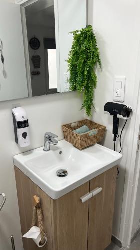 a bathroom sink with a mirror and a plant on it at Jacuzzi sauna 5min pied gare in Les Mureaux