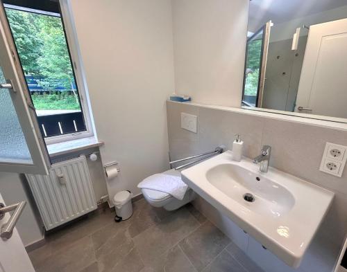a bathroom with a sink and a toilet and a mirror at Ferienwohnung "Seeluft" - Raus in die Berge und an den See in Schliersee