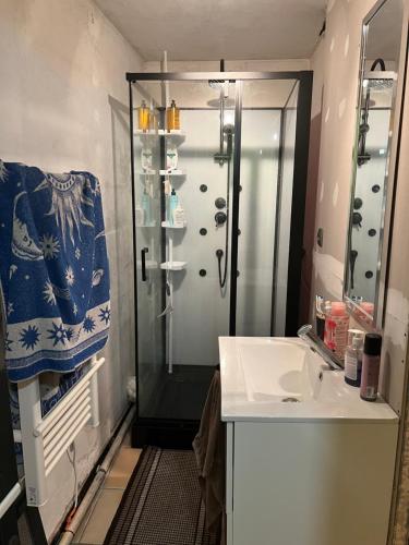 une salle de bain avec douche et lavabo dans l'établissement Loft en pierres apparentes, à Coursan