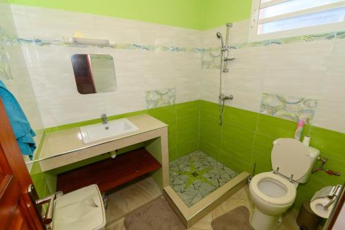 a green bathroom with a toilet and a sink at vue sur la montagne in Pointe-Noire