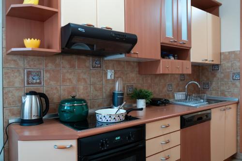 a kitchen with a sink and a stove top oven at Favorite Family & Dining Gem in Skopje in Skopje