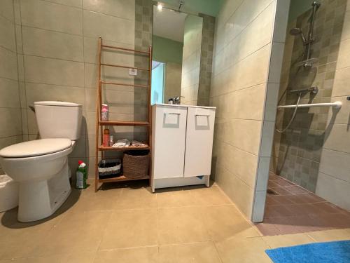 une salle de bain avec toilettes et douche dans l'établissement Le Petit Saint Vorles, à Châtillon-sur-Seine