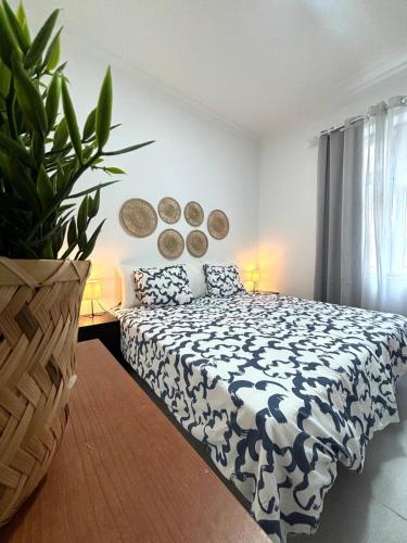 Luis Morote 2-C Apartamentos