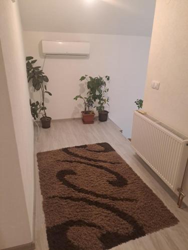 a room with a rug on the floor with potted plants at Gostilj, Srebrenica in Srebrenica