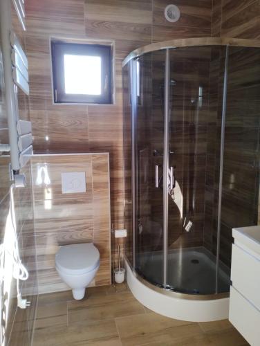 a bathroom with a toilet and a shower at Domki letniskowe OSTROWITE in Ostrowite