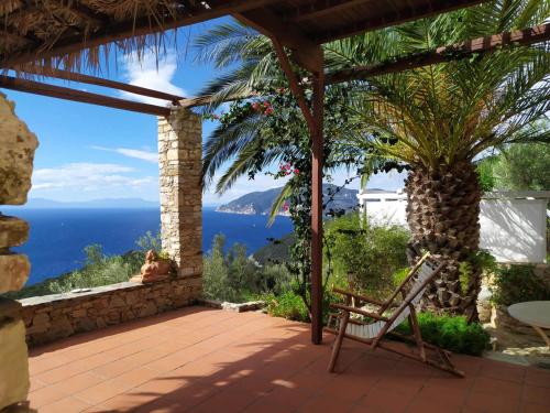 Naturlandskabet i nærheden af lejligheden