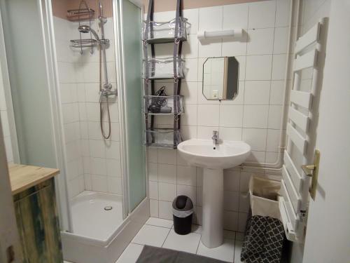 a small bathroom with a sink and a shower at Les Coquillages in Essoyes