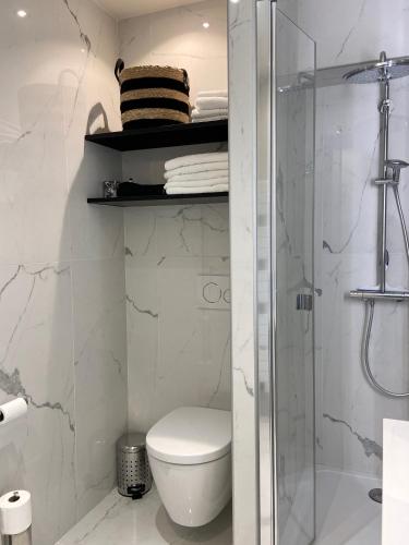 une salle de bain avec toilettes et douche en verre dans l'établissement Appartement Belle-vue, à Liginiac