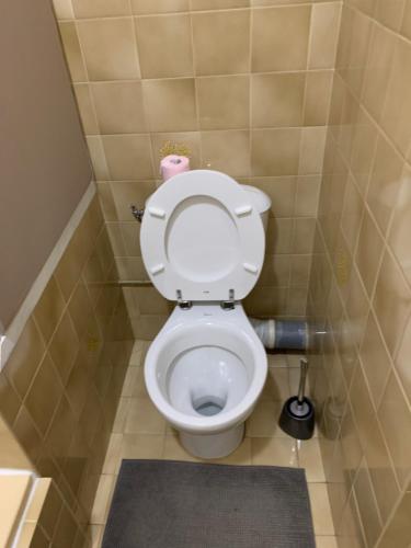 - une petite salle de bains avec toilettes dans une cabine dans l'établissement Studio AZUR, à Six-Fours-les-Plages