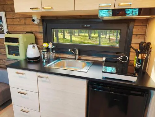 Lapland Riverside Cabin 1 VADELMA, Ylläs, Tiny Home with Sauna, Fireplace, Terrace, BBQ, Wifi, Ski, Fishing, Pets OK
