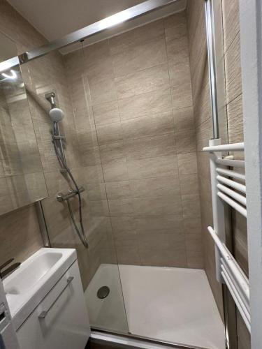 La petite salle de bains est pourvue d'une douche et d'un lavabo. dans l'établissement Appartement calme près de La Villette, à Paris