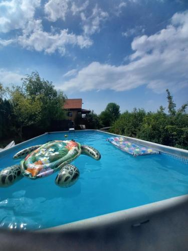 Green Idylle -Pyramid View