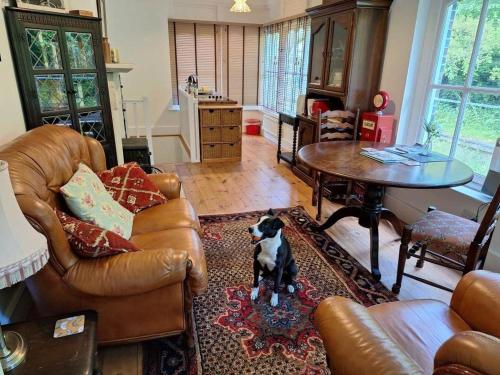 a dog sitting on a rug in a living room at Old Droxford Station Signal Box in Soberton