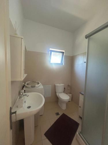 a bathroom with a toilet and a sink and a shower at A casa d Irene in Koropi