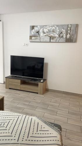 un salon avec une télévision à écran plat sur un mur dans l'établissement Appartement 105m2 intramuros centre ville Avignon, à Avignon