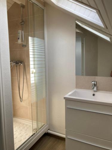 a bathroom with a shower and a sink and a mirror at Belle maison avec grande terasse à 10 minutes en train de Paris centre et 6 min à pied de la gare et du centre ville in Colombes