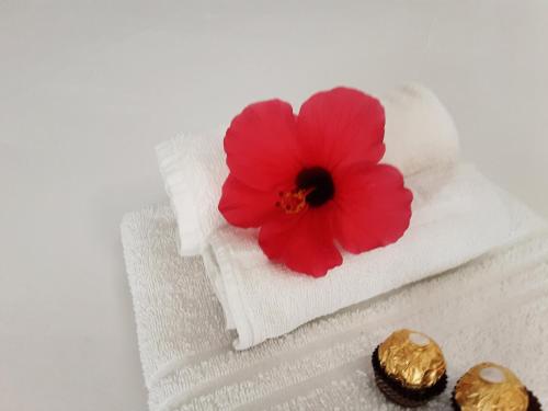 a red flower on white towels next to some chocolates at Relais LaValle in Taranto