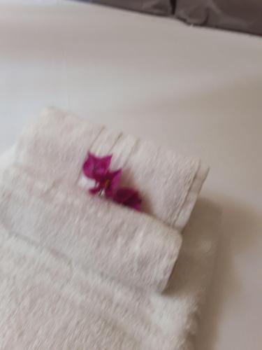 a purple flower sitting on top of a white towel at Relais LaValle in Taranto