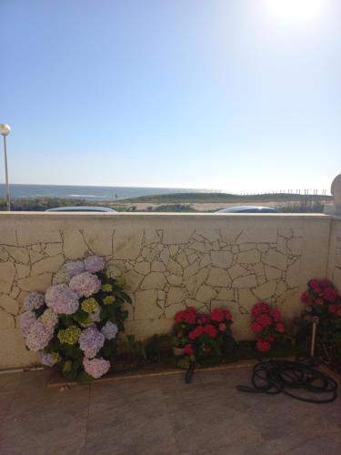 a bunch of flowers on a wall with a window at Apartamento na praia in Póvoa de Varzim