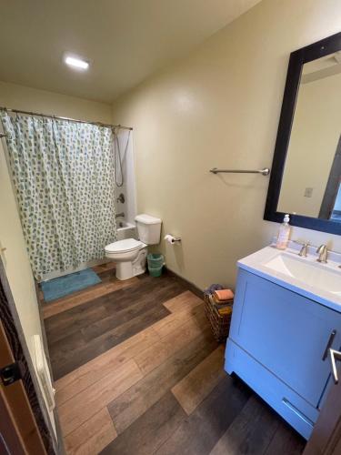 La salle de bains est pourvue de toilettes, d'un lavabo et d'un miroir. dans l'établissement Rhodopa Lodge at Yellowstone, à Gardiner