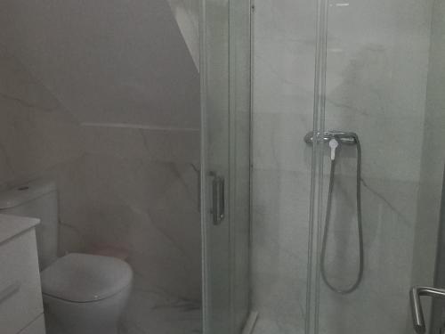a bathroom with a shower and a toilet at Apartamento na praia in Póvoa de Varzim