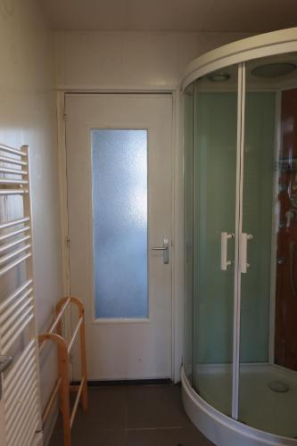 une salle de bain avec douche et porte vitrée dans l'établissement Appartement avec jardin au coeur de Rennes, à Rennes