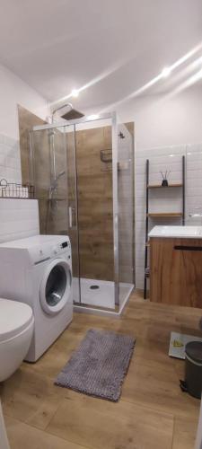 a bathroom with a washing machine and a toilet at Apartament Lubin in Lubin