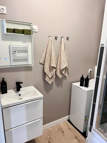 une salle de bain avec un lavabo, des toilettes et un miroir dans l'établissement « Le City » proche aéroport CDG, Parc Astérix, Disney,, à Dammartin-en-Goële