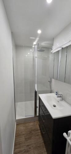 une salle de bain blanche avec une douche et un lavabo dans l'établissement Appartement Saint Charles, à Marseille