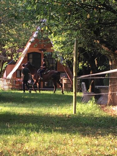 a person riding a horse in the grass at romanticTerrebio in Visnadello