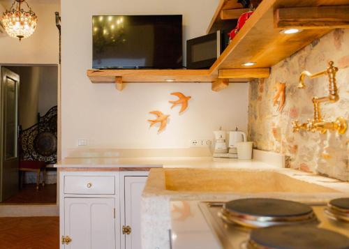 kuchnia ze zlewem i ptakami na ścianie w obiekcie Casa Raffaella 1 Tuscan charm in medieval Suvereto w mieście Suvereto