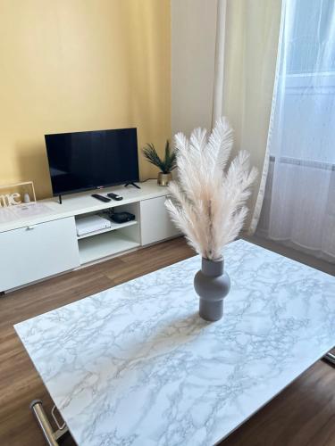 Μια τηλεόραση ή/και κέντρο ψυχαγωγίας στο Maisonnette STUDIO Parc Astérix I ROISSY CDG I CHATEAU DE CHANTILLY I PARIS