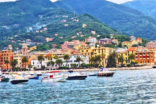 a group of boats in the water near a city at Tigullio Nest Rapallo in Rapallo