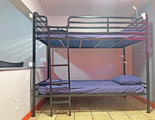 Μία ή περισσότερες κουκέτες σε δωμάτιο στο Sin City Hostel