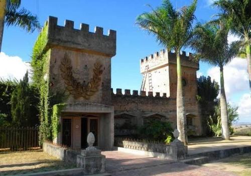 a building with a palm tree in front of it at Casa em Garanhuns - A Suiça pernambucana in Garanhuns
